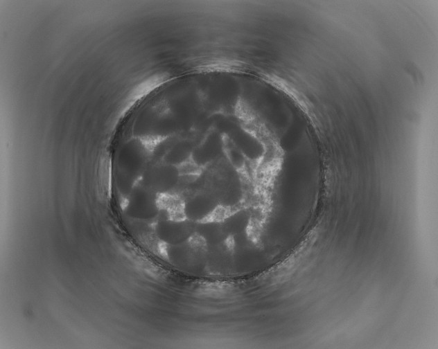 X0000112071219200909011016