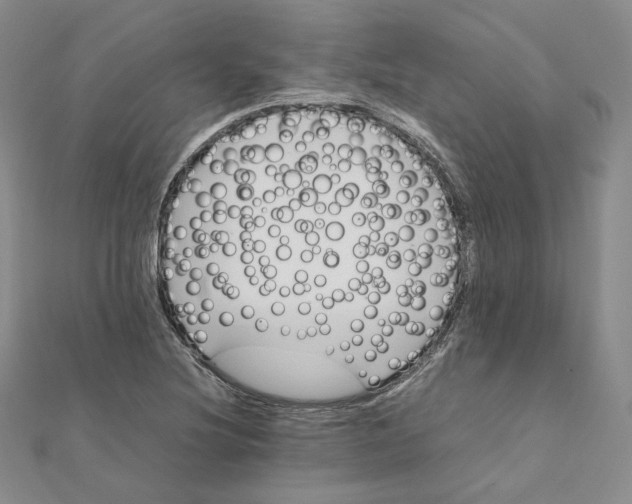 X0000112071220200909011016