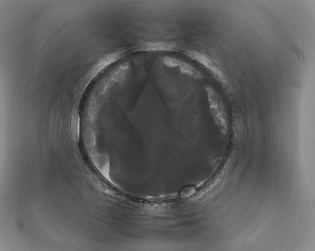 X0000112071221200909011016