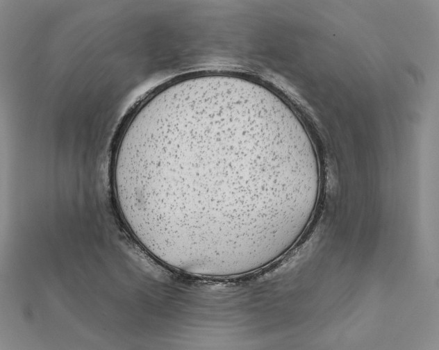 X0000112071222200909011016