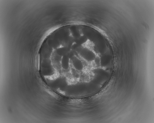 X0000112071223200909011016