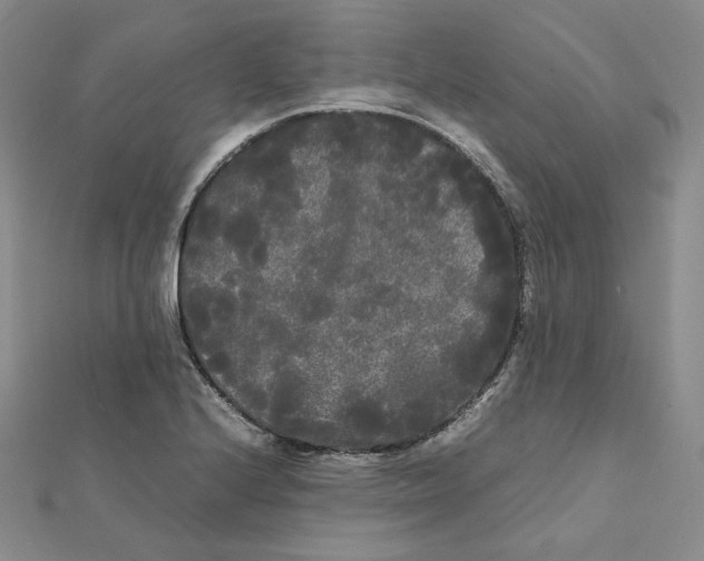 X0000112071224200909011016
