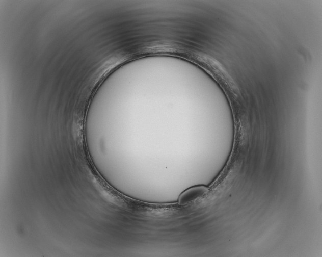 X0000112071225200909011016