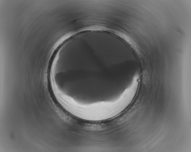 X0000112071229200909011016