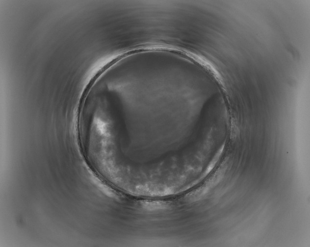 X0000112071231200909011016