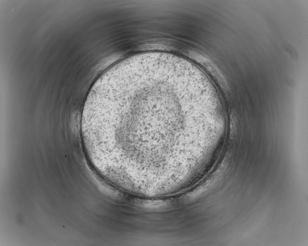 X0000112071233200909011016