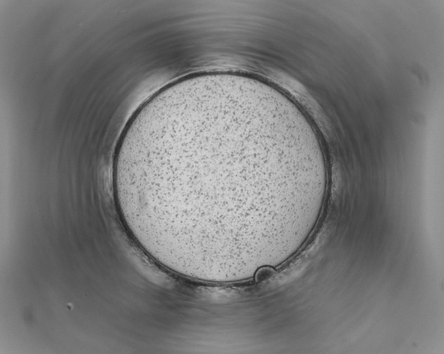 X0000112071234200909011016