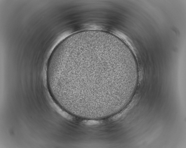 X0000112071235200909011016