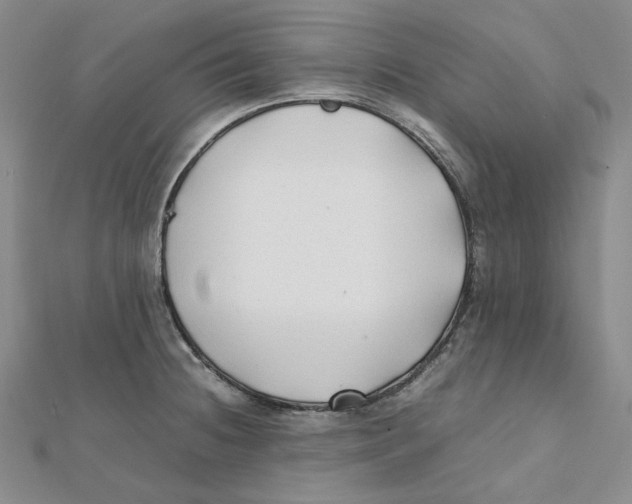 X0000112071236200909011016