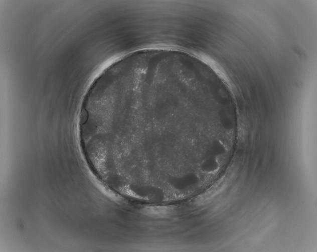 X0000112071237200909011016