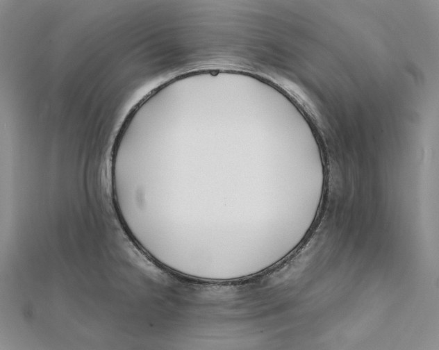 X0000112071238200909011016