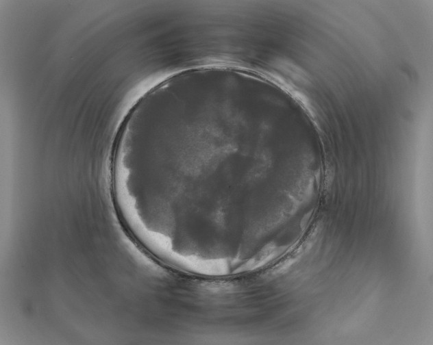X0000112071239200909011016