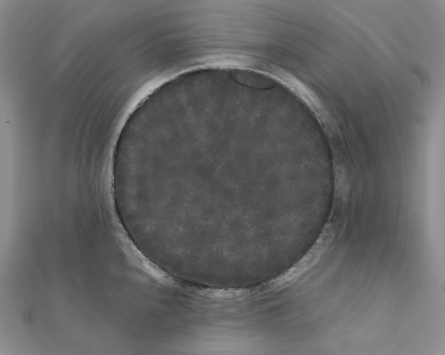 X0000112071240200909011016