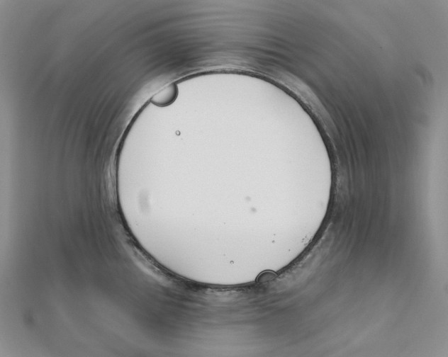 X0000112071242200909011016