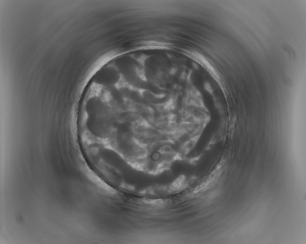 X0000112071243200909011016