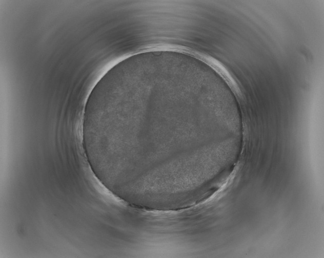 X0000112071244200909011016