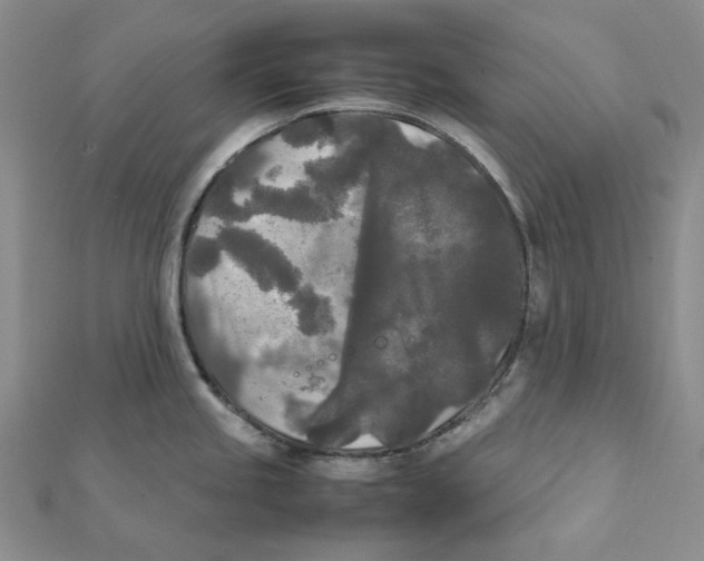 X0000112071245200909011016