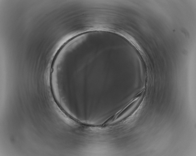 X0000112071246200909011016