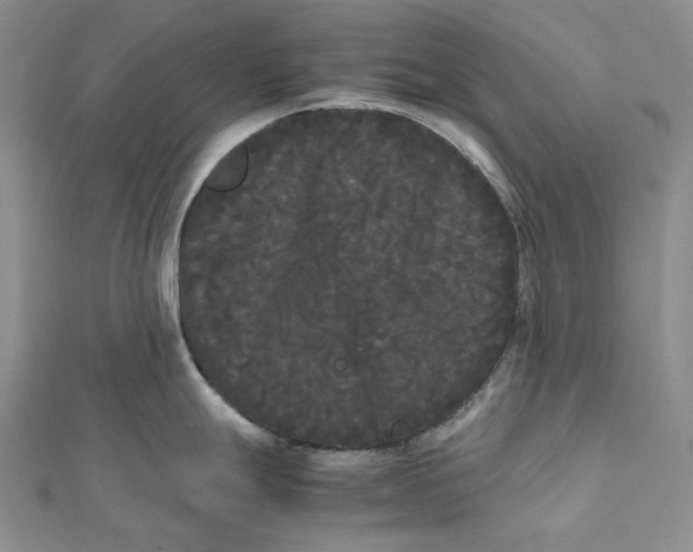 X0000112071247200909011016