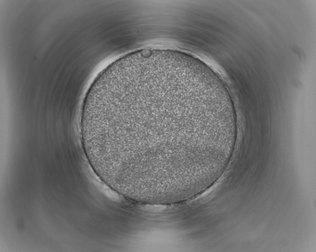 X0000112071248200909011016
