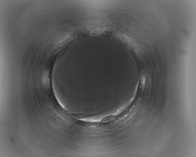 X0000112071252200909011016