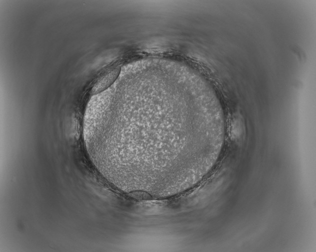 X0000112071253200909011016