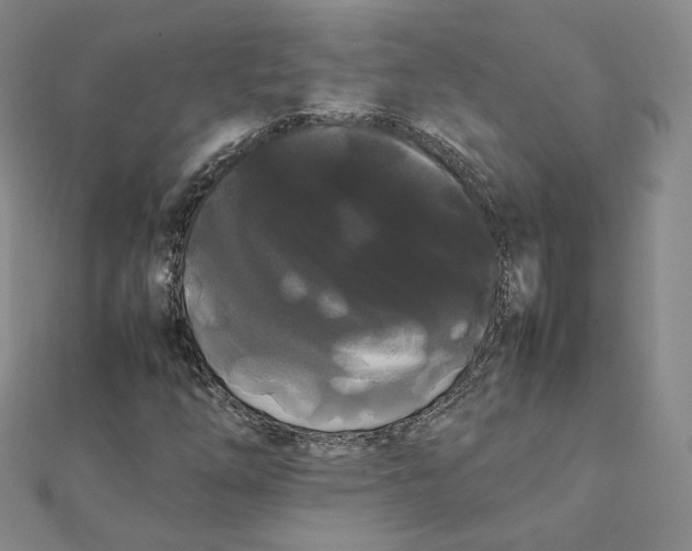 X0000112071254200909011015