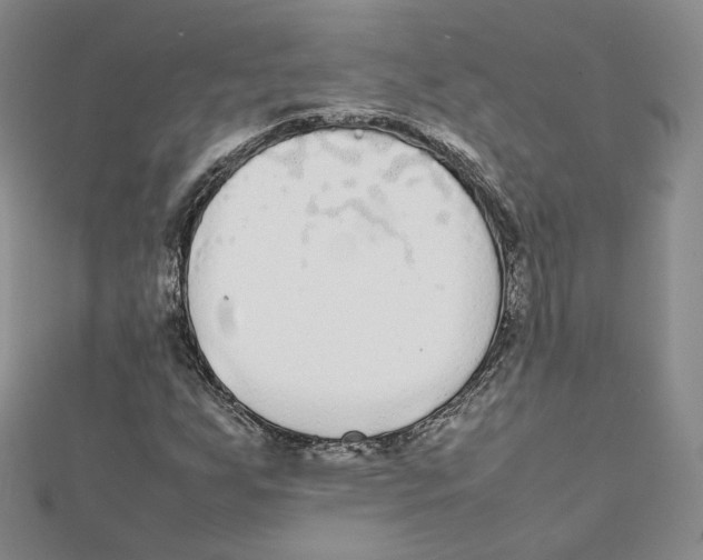 X0000112071255200909011015