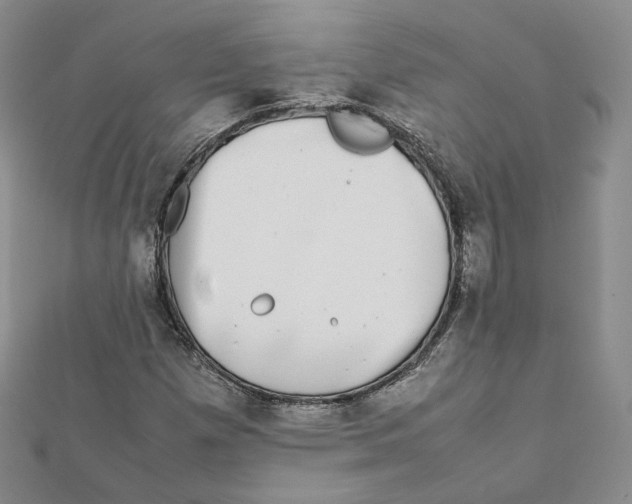 X0000112071257200909011015