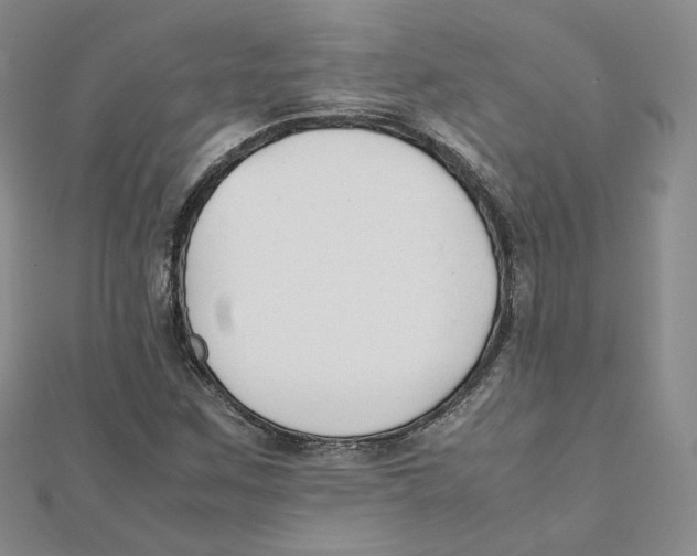 X0000112071259200909011015
