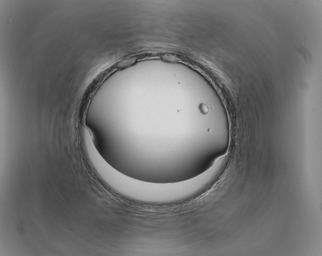 X0000112071261200909011015