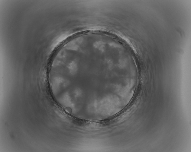 X0000112071263200909011015