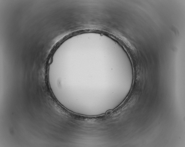 X0000112071264200909011015