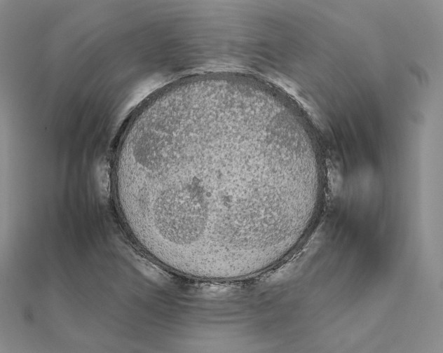 X0000112071266200909011015