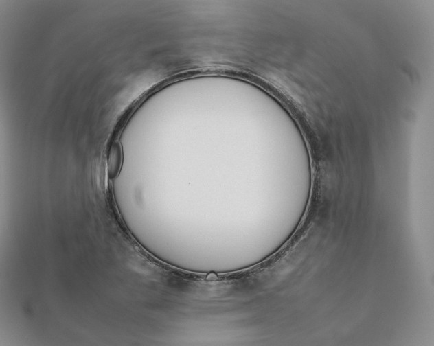 X0000112071269200909011015