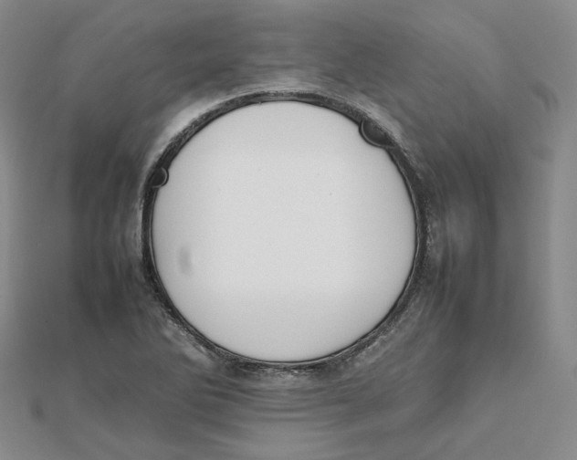 X0000112071270200909011015