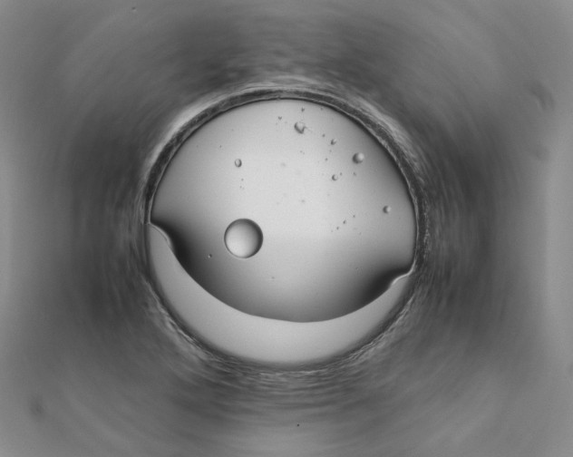 X0000112071272200909011015
