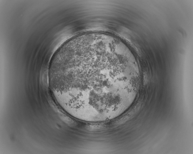 X0000112071274200909011015