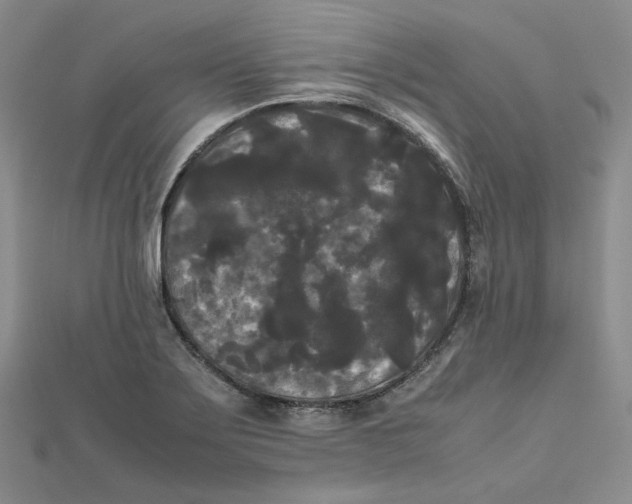X0000112071275200909011015