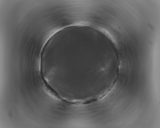 X0000112071276200909011015