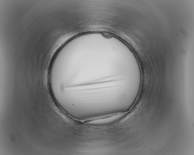 X0000112071277200909011015