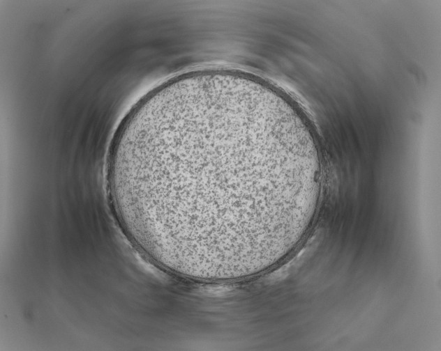 X0000112071278200909011015