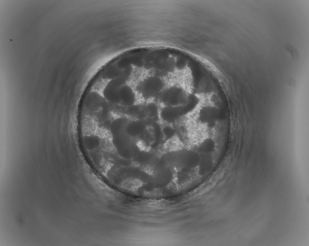 X0000112071279200909011015