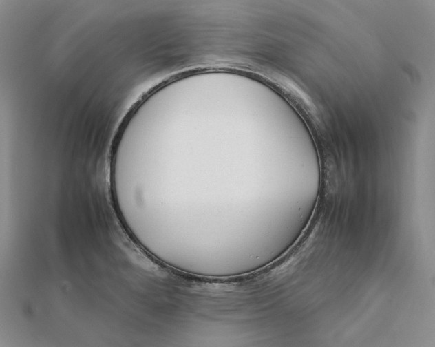 X0000112071280200909011015