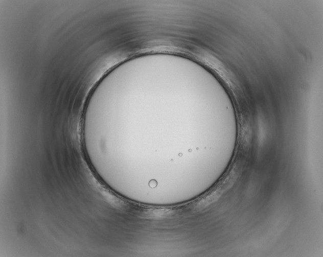 X0000112071282200909011015