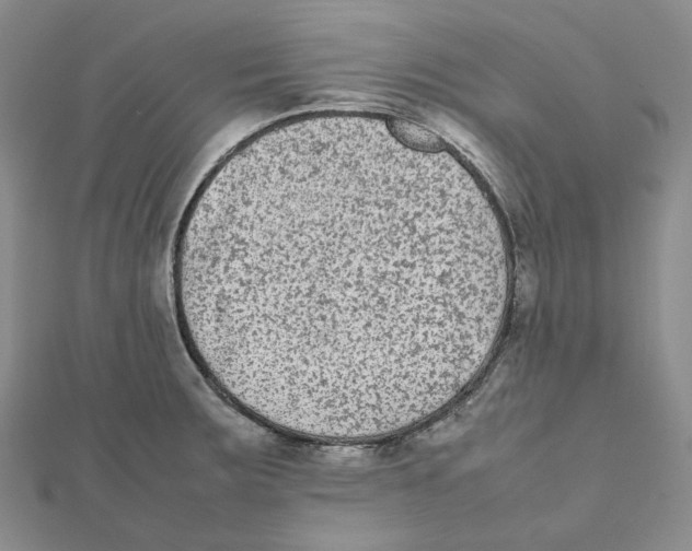 X0000112071283200909011015