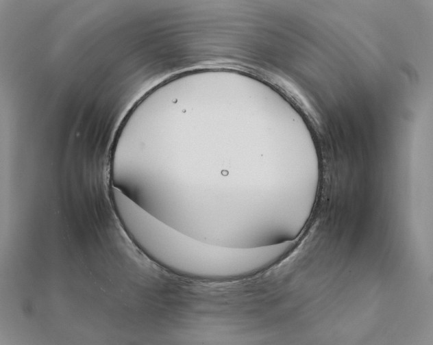 X0000112071284200909011015