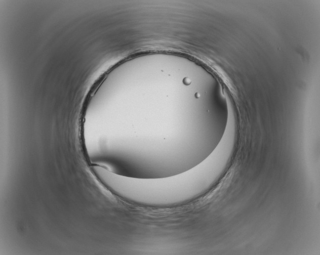 X0000112071285200909011015