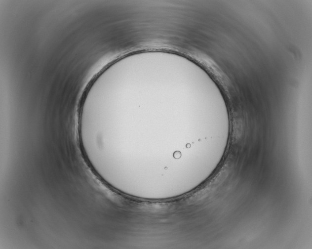 X0000112071286200909011015