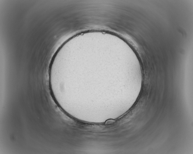 X0000112071287200909011015